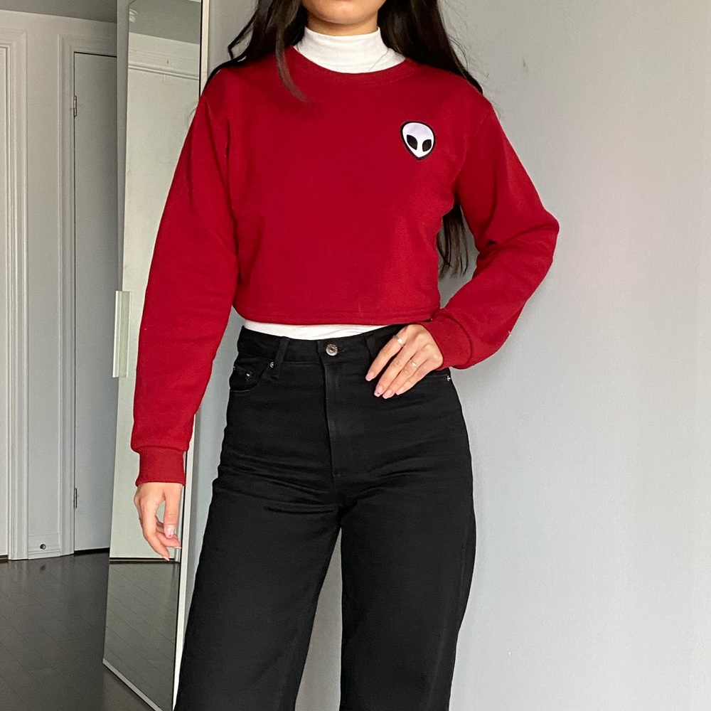 Brandy Melville alien cropped sweater